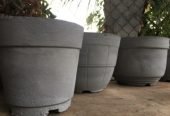 Flower Pots