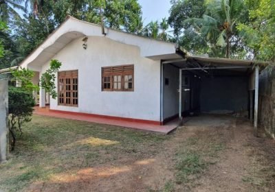 IMG-44b88a73683a4742eb72deaaecb0f597-V