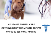 NELIGAMA ANIMAL CARE