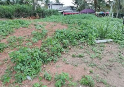 FB_IMG_1613024199882