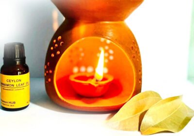 mind-therophy-Cinnamon-oil-burner-1-kadimudi