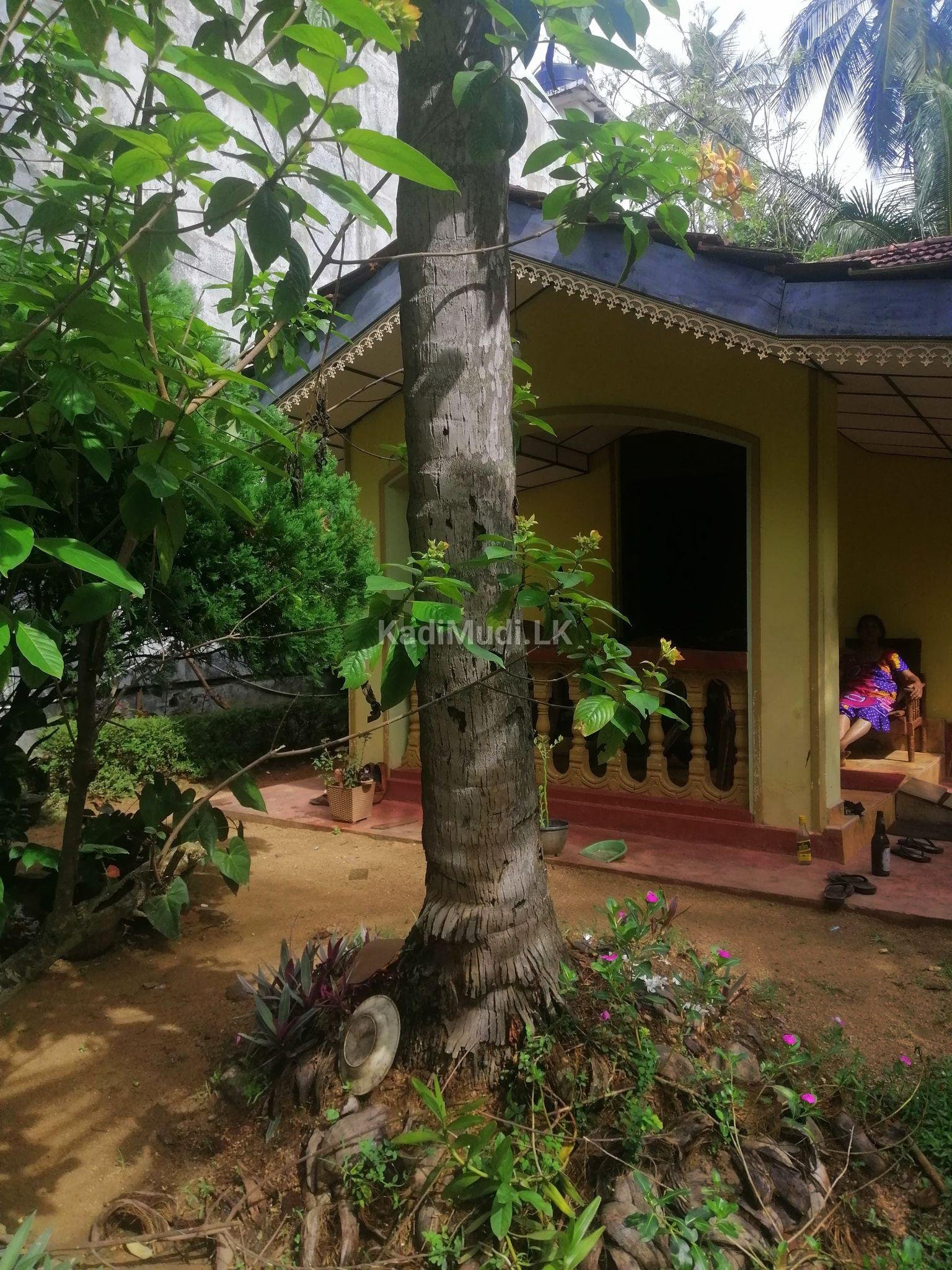 House for Sale in Piduruwella Kurunegala