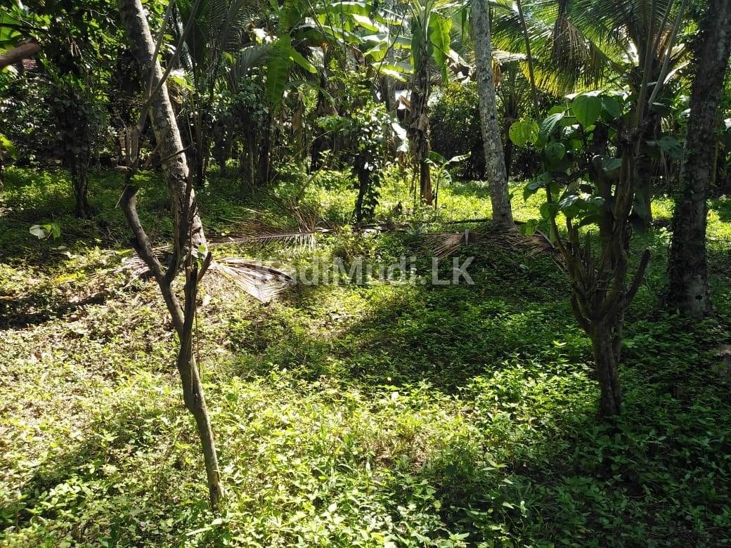 Private Land for Sale