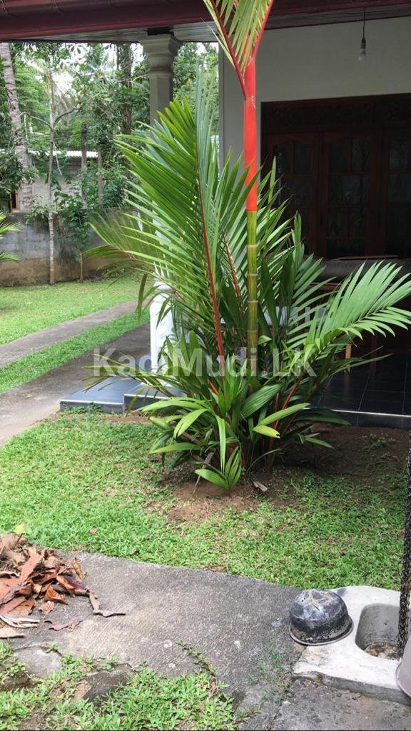 House for Sale in Kandy