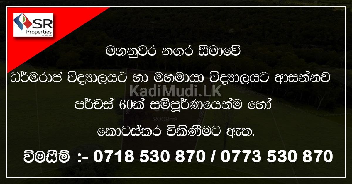 Land for Sale 60 Perches