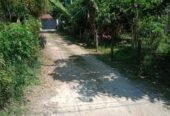 House for Sale in Pannipitiya