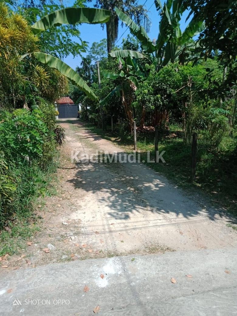 House for Sale in Pannipitiya