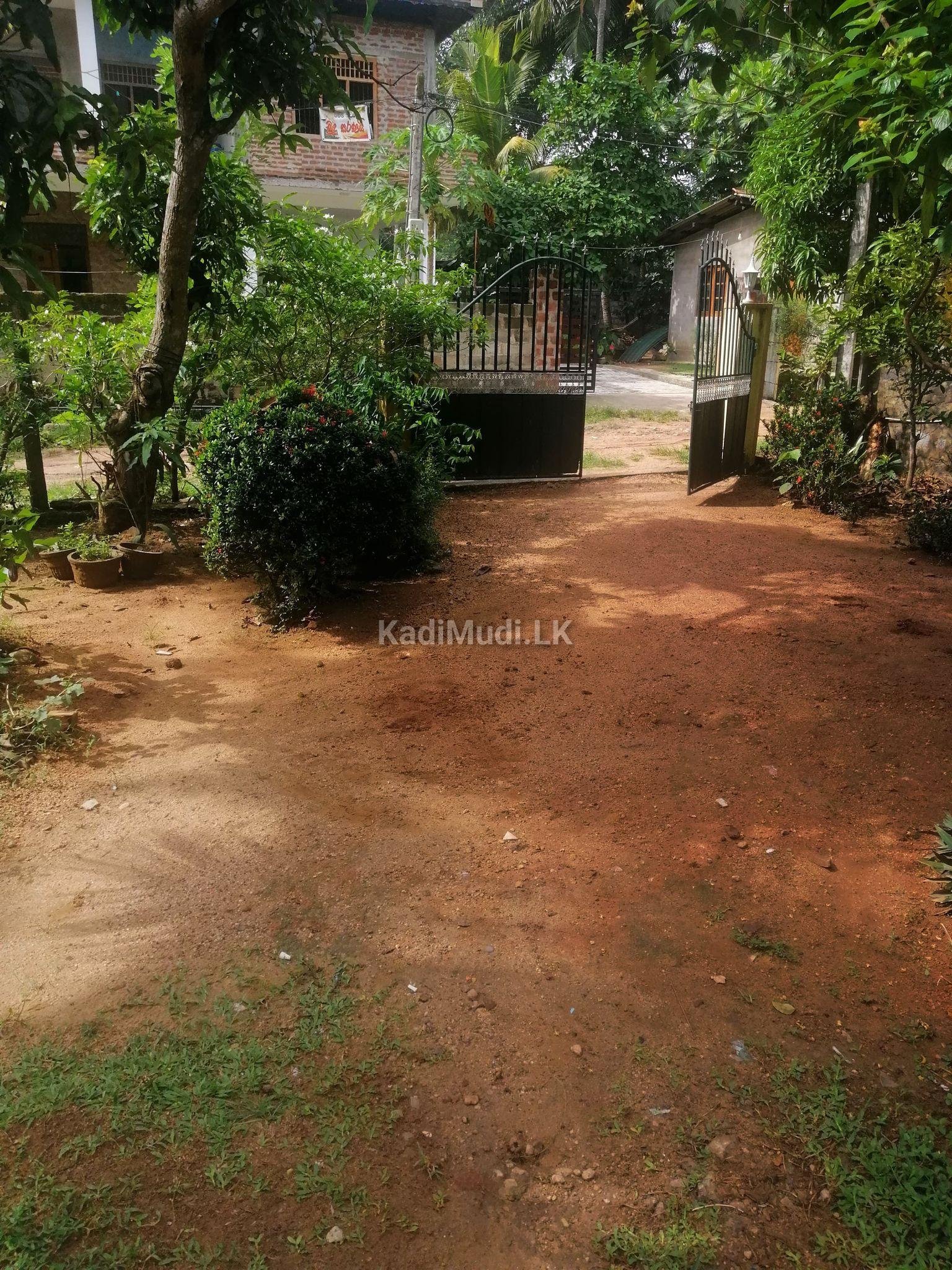 House for Sale in Piduruwella Kurunegala