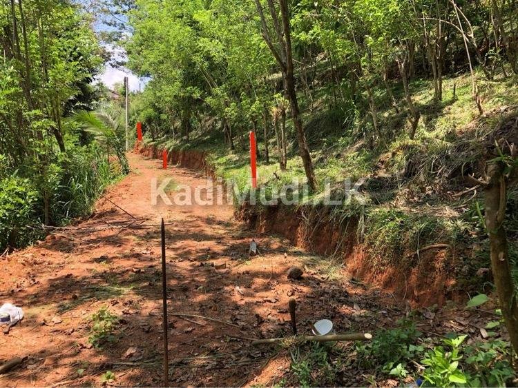 Land for Sale in Gelioya Kandy