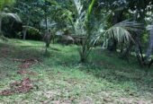 Land Sale in Minuwangoda