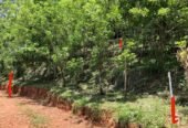 Land for Sale in Gelioya Kandy