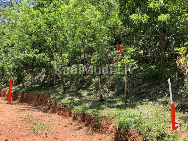 Land for Sale in Gelioya Kandy