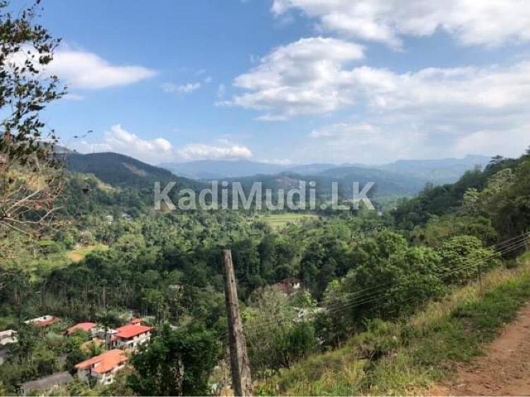 Land for Sale in Gelioya Kandy