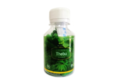 Organic Thebu ( Canereed ) Capsules