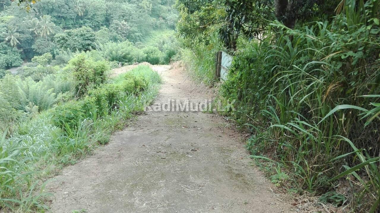 Land for Sale in Heeressagala 24.25 Perch