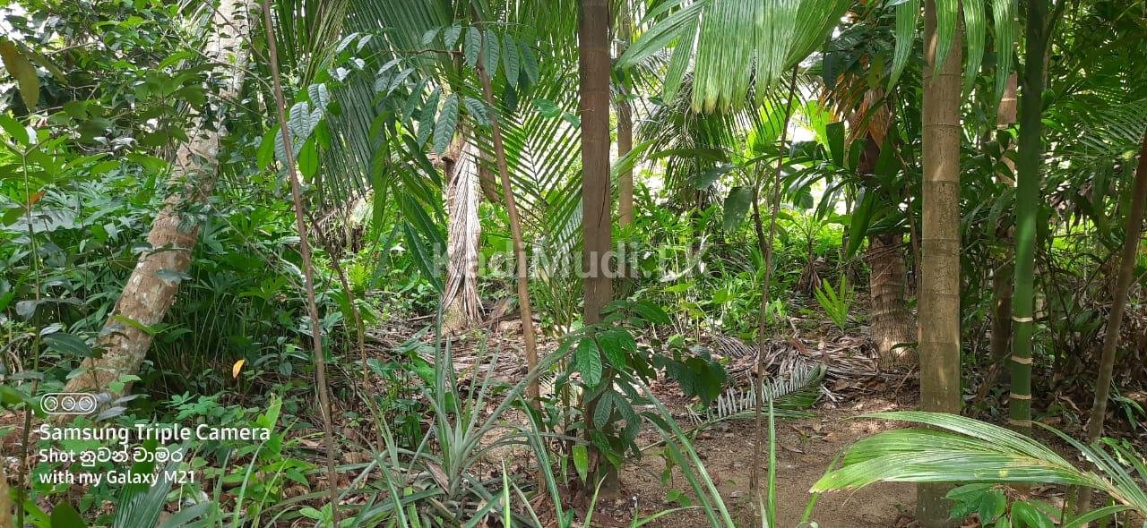 Land for Sale Mathugama