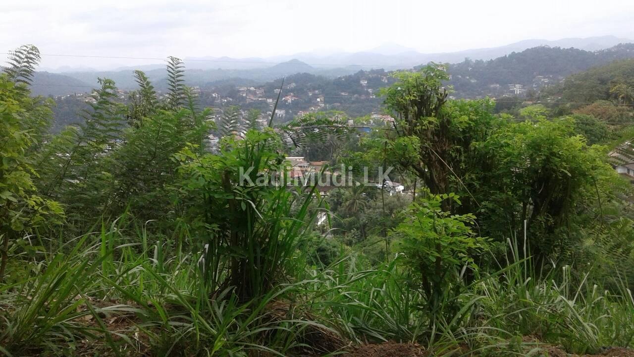 Land for Sale in Heeressagala 24.25 Perch