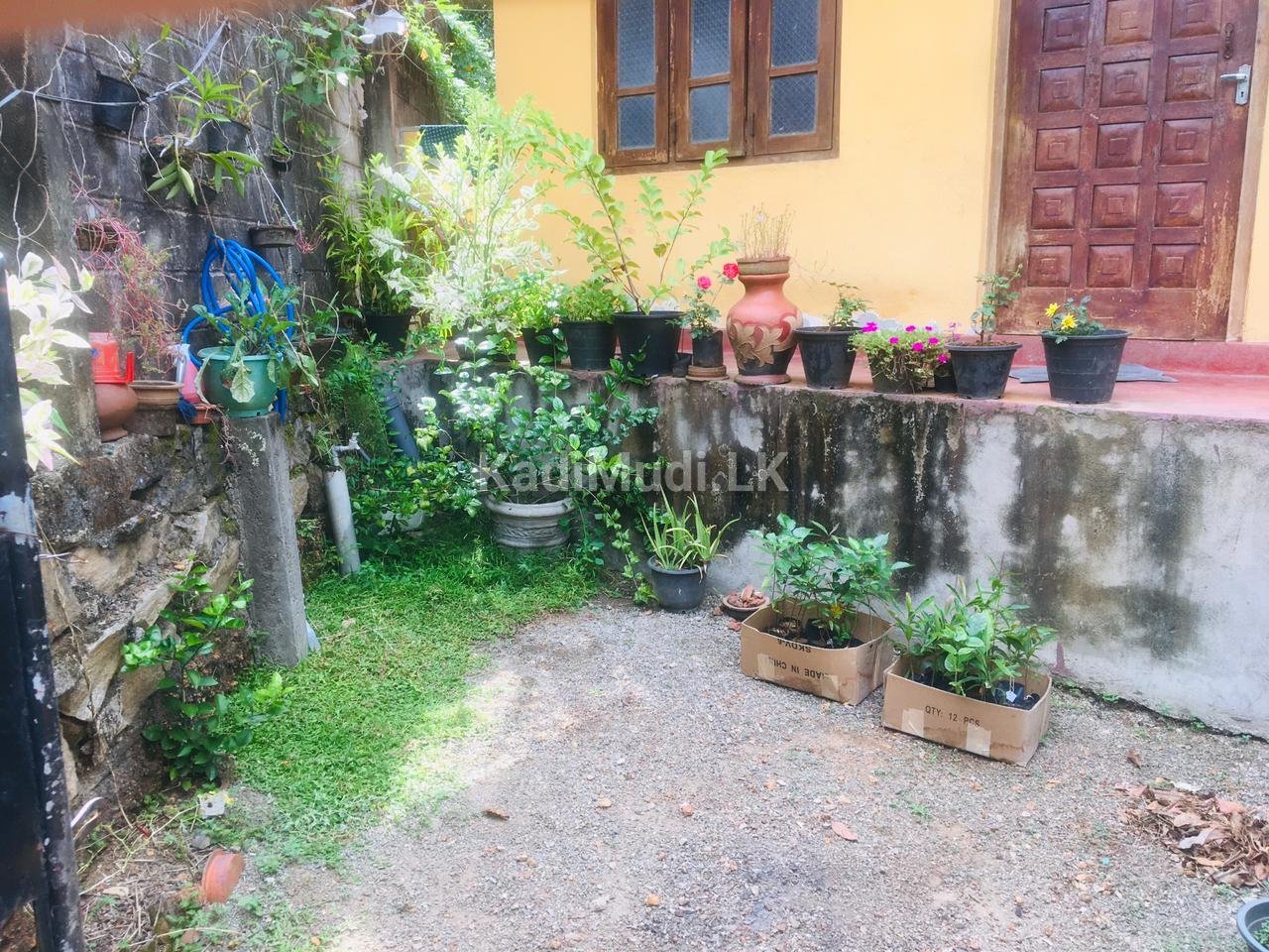House For Sale in Boralesgamuwa