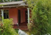 House for Sale in Homagama