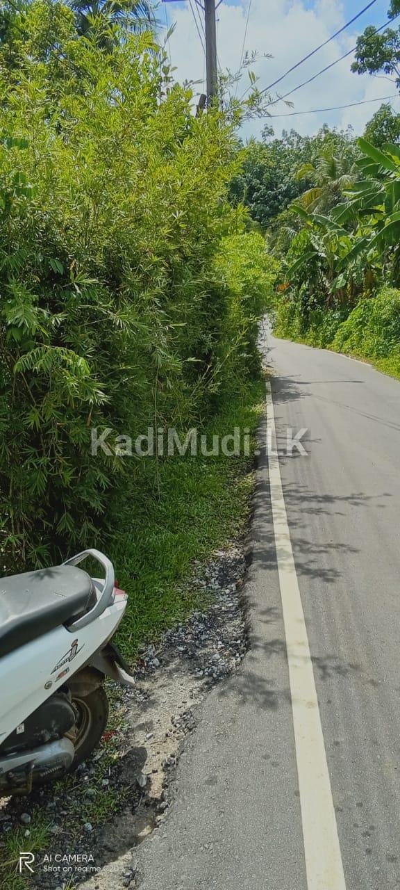 House for Sale in Homagama