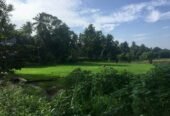 Land for Sale In Minuwangoda