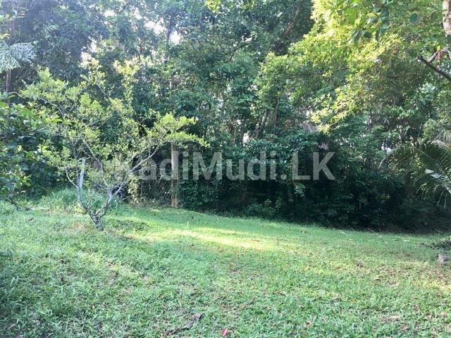 Land for Sale In Minuwangoda