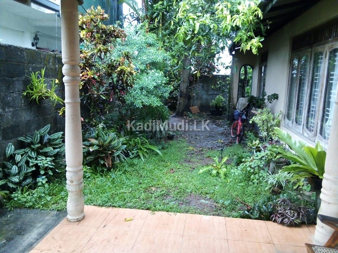 House With 20 Perches Land