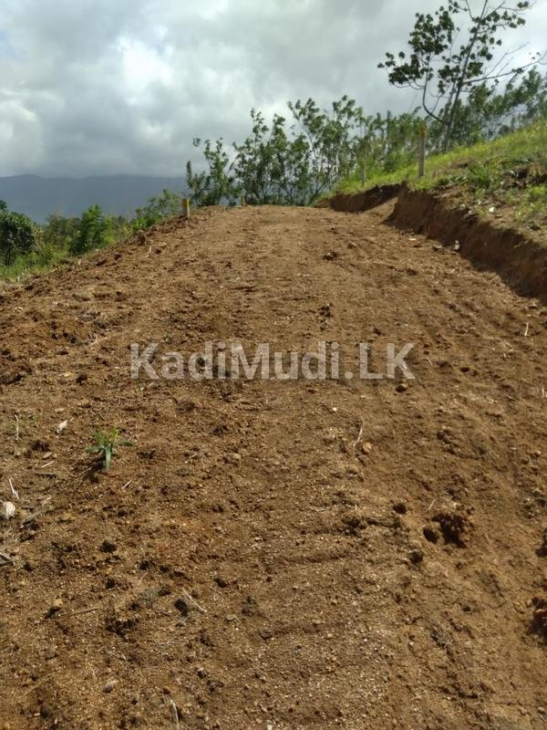 Land for Sale in Balangoda