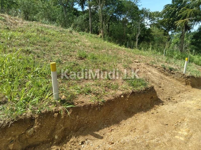 Land for Sale in Balangoda
