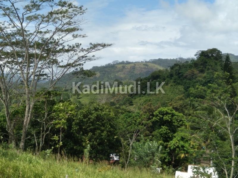 Land for Sale in Balangoda