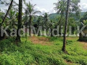 Land for Sale Near Agalawatte Town