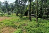 Land for Sale Near Agalawatte Town