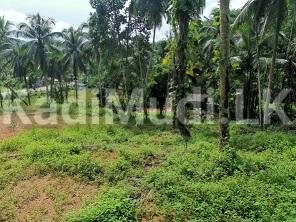 Land for Sale Near Agalawatte Town