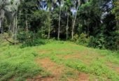 Land for Sale Near Agalawatte Town