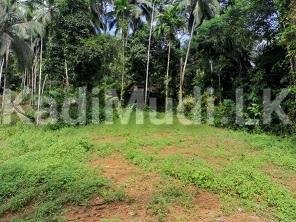 Land for Sale Near Agalawatte Town