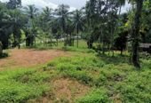 Land for Sale Near Agalawatte Town