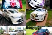 Wedding Car for Rent