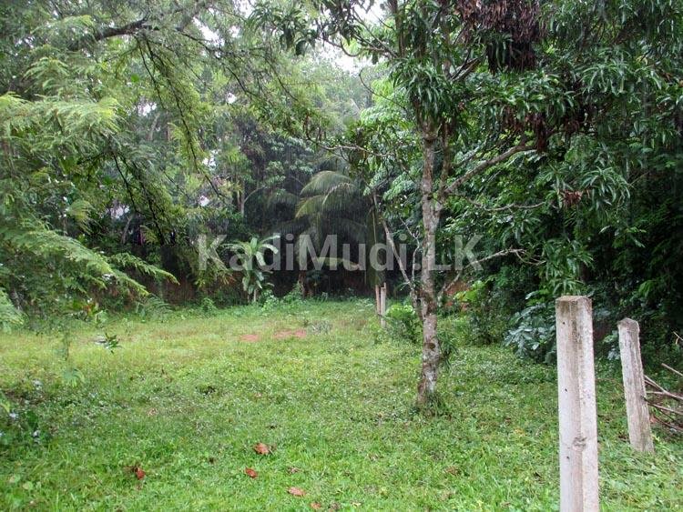 Andiambalama Land For Sale