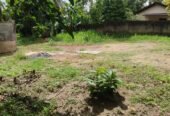 Land for Sale – Minuwangoda