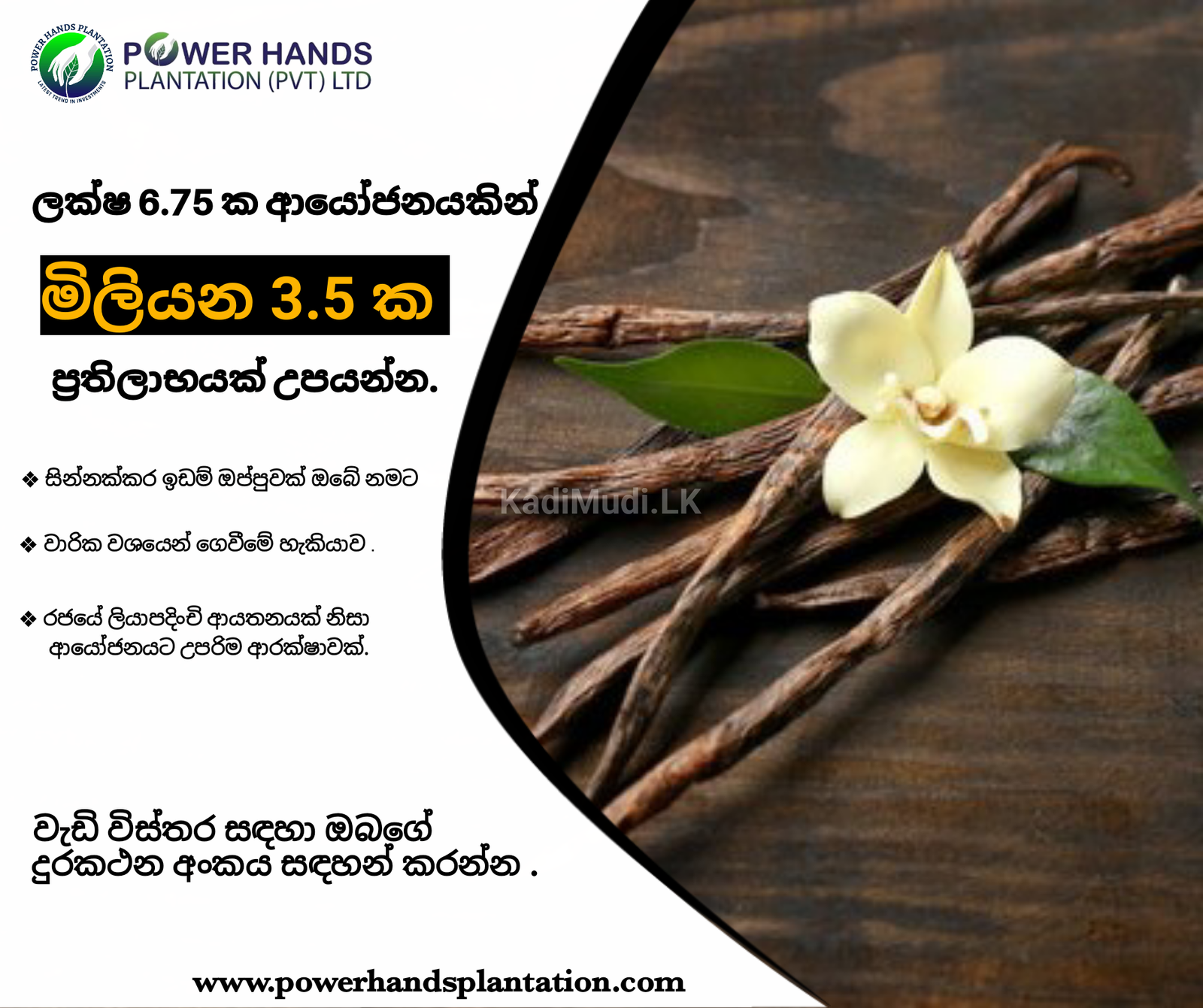 වැනිලා සඳහා ආයෝජනය කර ඉහළ ප්‍රතිලාභ භුක්ති විඳින්න