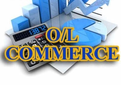 19257948965949eaa307a7d-DS2