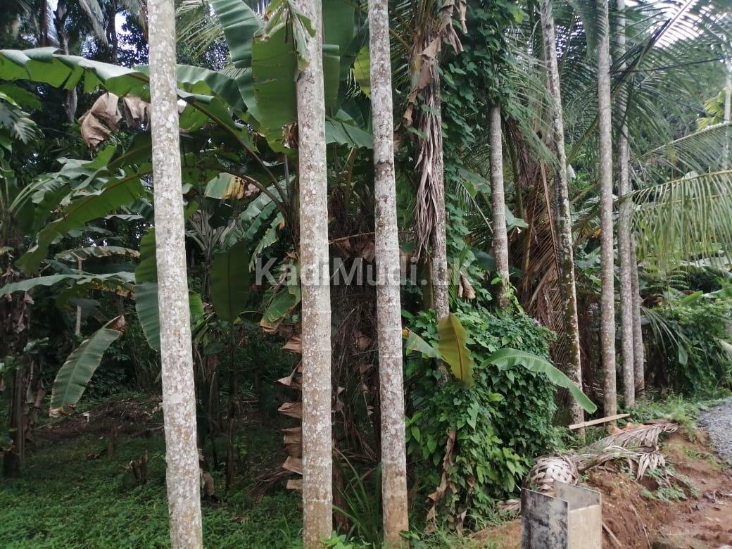 Land for Sell in Kiribathkubura