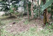 Land for Sell in Kiribathkubura