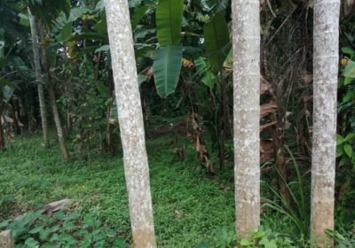 WhatsApp-Image-2022-09-15-at-22.21.14-1-Copy