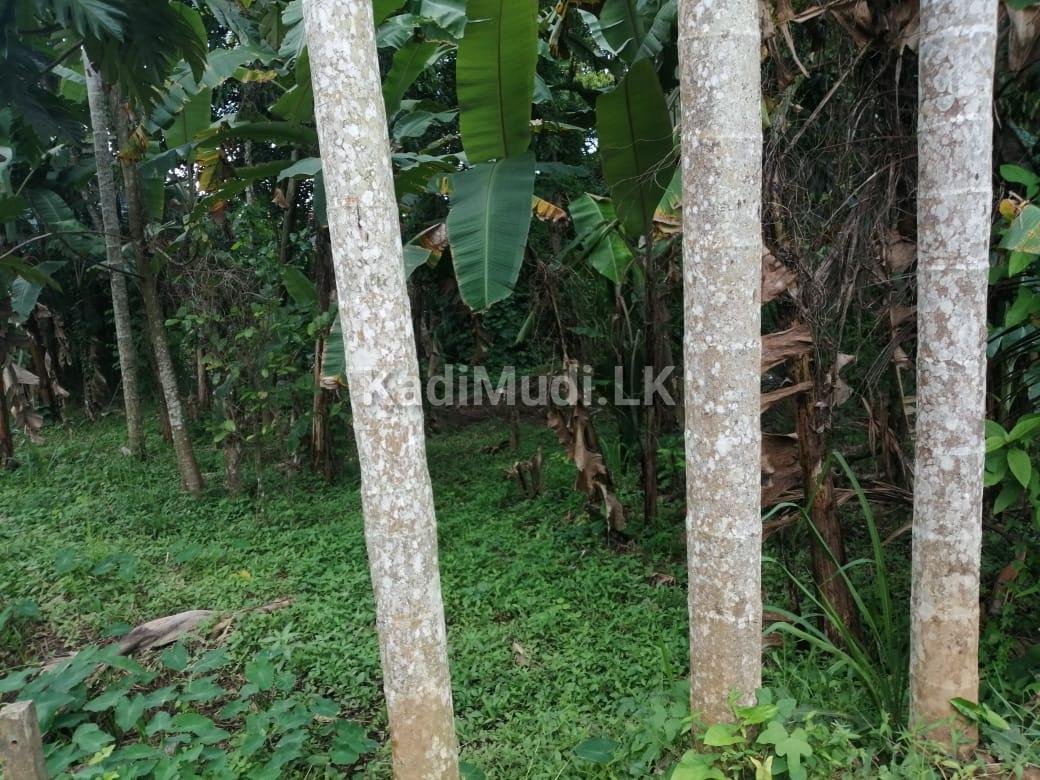Land for Sell in Kiribathkubura