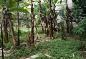 Land for Sell in Kiribathkubura