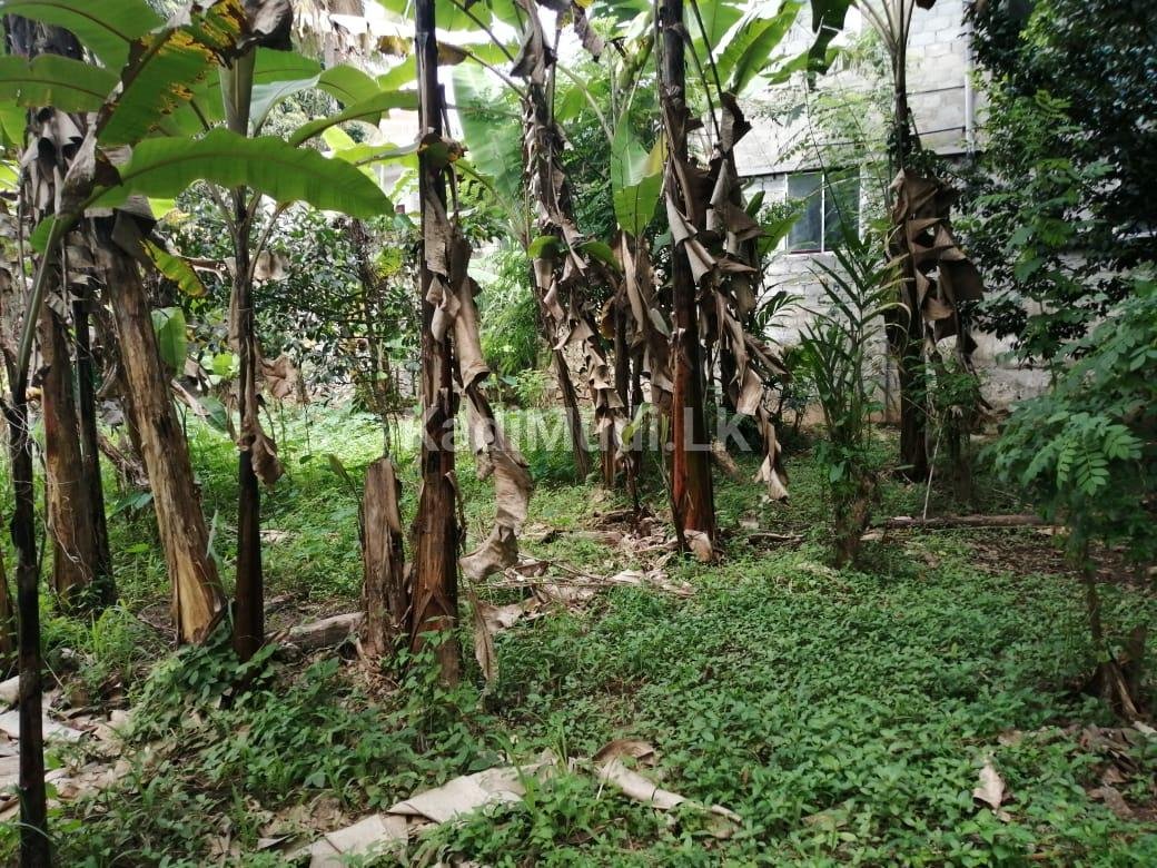 Land for Sell in Kiribathkubura