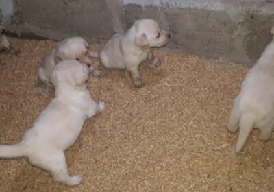 WhatsApp-Image-2022-10-08-at-20.16.56-1