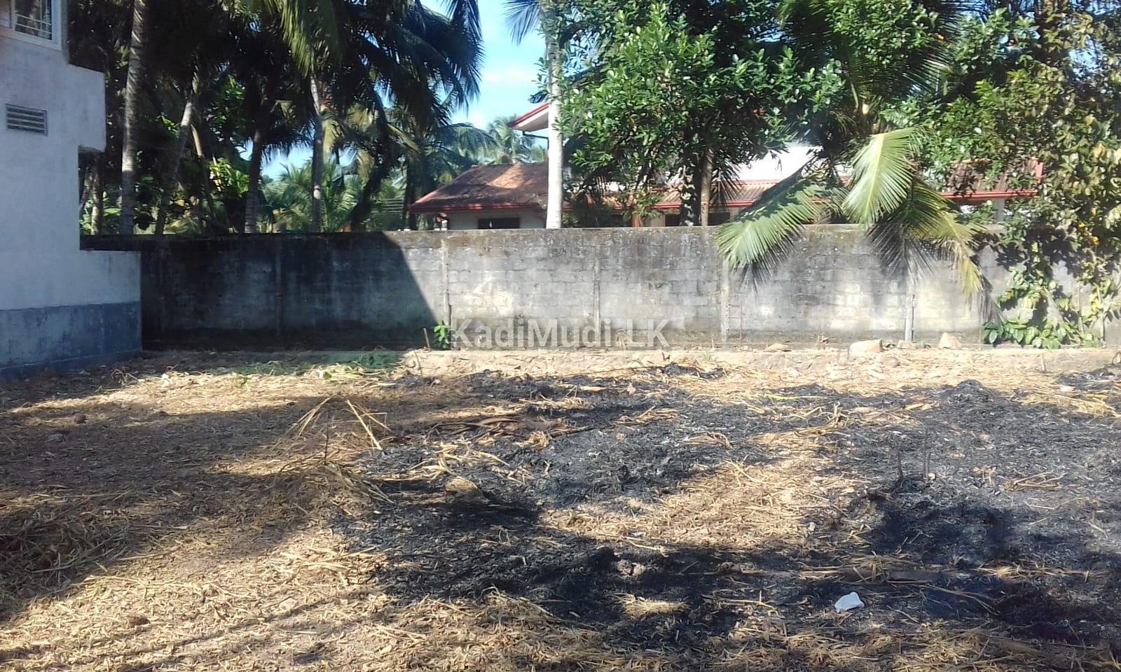 10 Perches Land for sale in Gampaha Bandarawatta