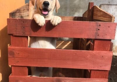 WhatsApp-Image-2022-11-22-at-12.48.12-1